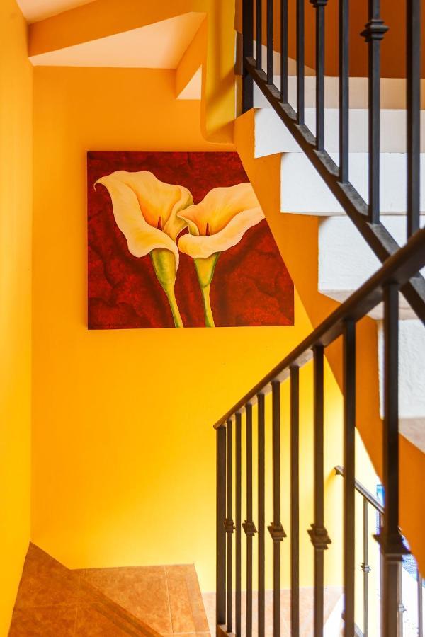 Kaam Accommodations ปัวร์โตโมเรลอส ภายนอก รูปภาพ